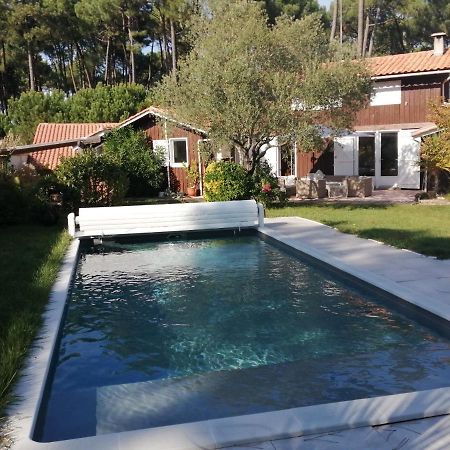 Maison Familiale En Bois Avec Piscine, Proche Du Bassin Gujan-Mestras Eksteriør bilde