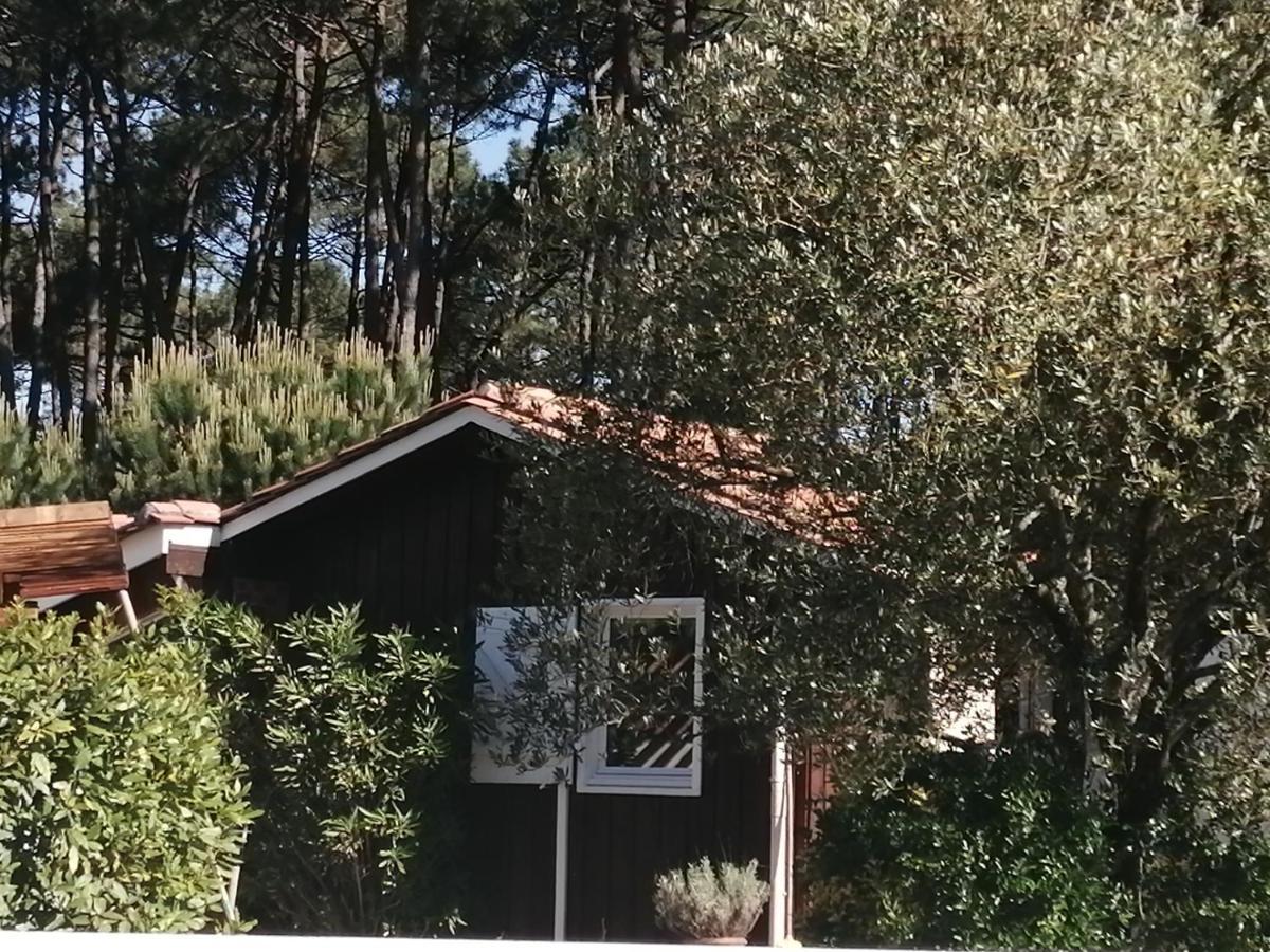Maison Familiale En Bois Avec Piscine, Proche Du Bassin Gujan-Mestras Eksteriør bilde